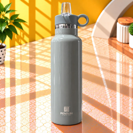 PENGUIN Stainless Steel Bottle 750ml