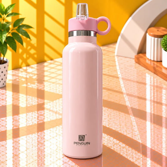 PENGUIN Stainless Steel Bottle 750ml